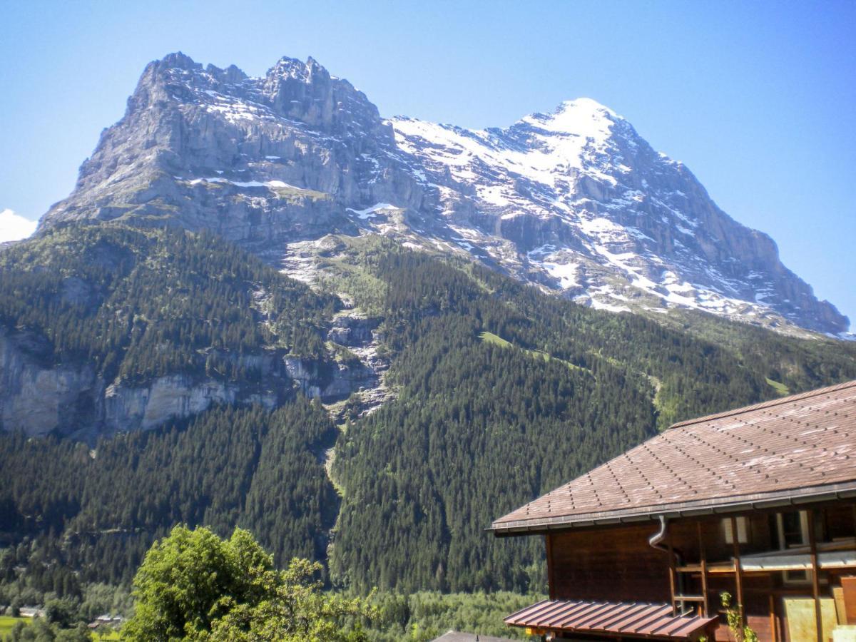 Apartment Chalet Almisraeba By Interhome Grindelwald Luaran gambar